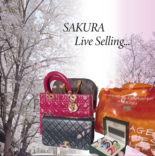 Here are Lisa's recommendation items from SAKURA Live Selling this week!