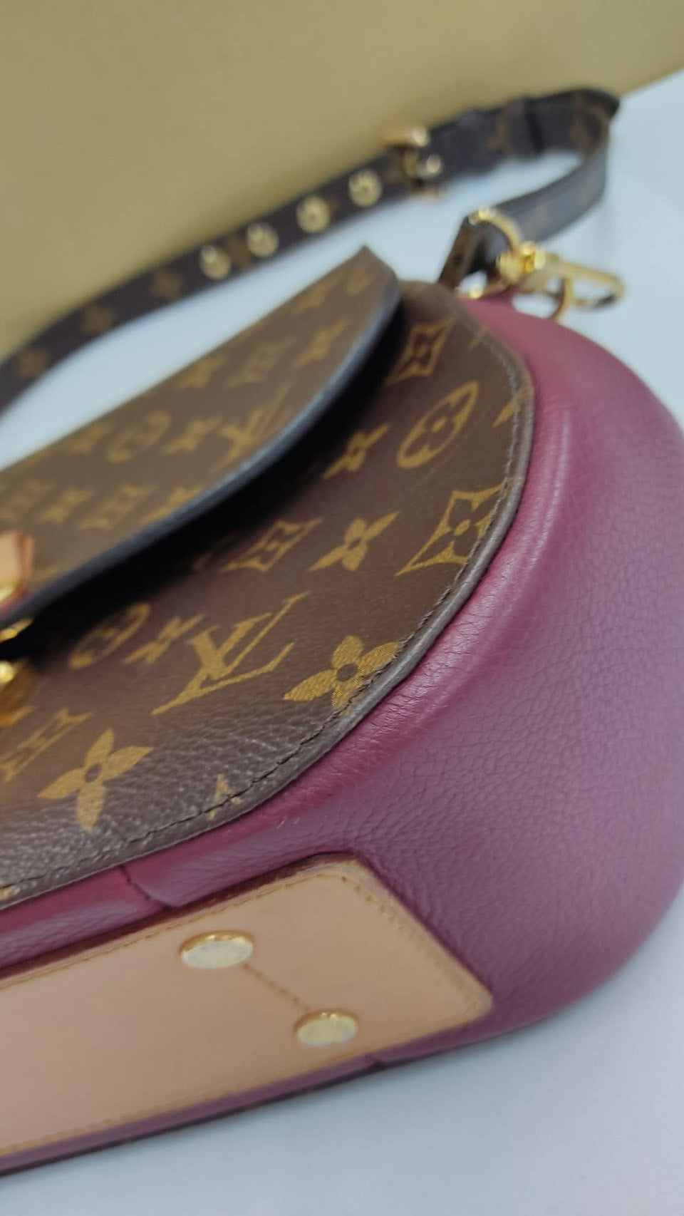 Louis Vuitton Eden Handbag Monogram 2WAY i6981【USED】